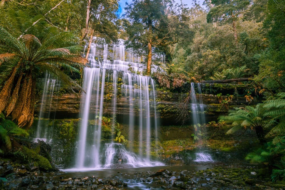 Mount Field National Park